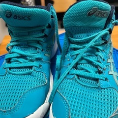 キッズ用バッシュの画像