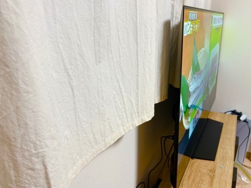【LG】55型有機ELテレビ
