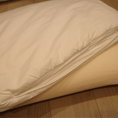 枕　Ikea PRAKTVÄDD 　の画像
