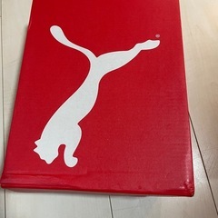 PUMA サッカースパイク　21〜22.5の画像