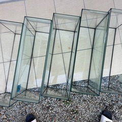 kotobuki レグラス水槽♪ 合計6本あります♪まとめて引き取りお願い致します♪の画像