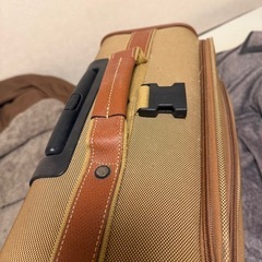 ロンシャンキャリーバッグの画像