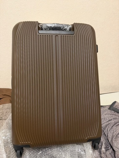 新品未使用キャリーバッグ