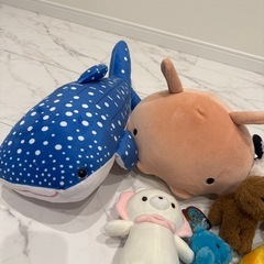 ぬいぐるみの画像