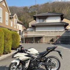 yamaha r25の画像