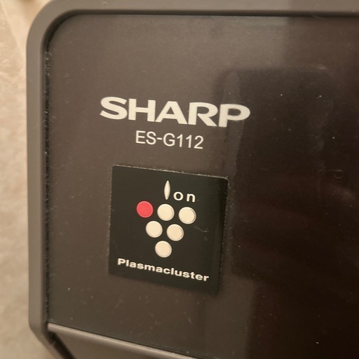 SHARP シャープ ドラム式電気洗濯乾燥機 ES-G112-TL