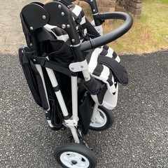 エアバギー AirBuggy ココブレーキ モノトーン カスタム 芦屋購入 レアカラーの画像