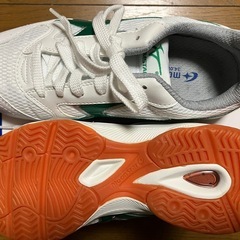 中学校 体育館シューズ  ムーンスター 緑の画像