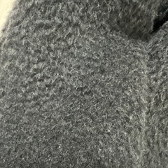 GIANNI LO GIUDICE ビックカラーコートの画像