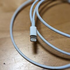 USB-A to Lightning cableの画像