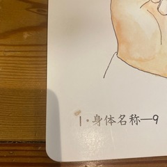 家庭保育園フラッシュカードの画像