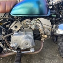 モンキーの画像