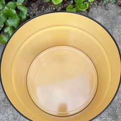 ドラム缶 半切り プランターの画像