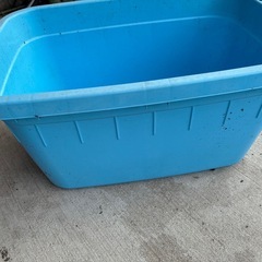 60L タライ　50個以上　めだか　観賞魚　ガーデニング　業者の画像