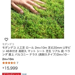 【屋内使用のみ】人工芝　5mx2m 2枚の画像