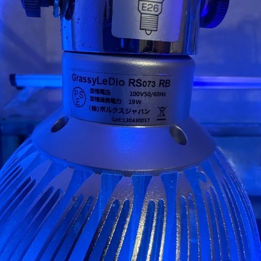 ボルクスジャパン GrassyLeDio RS073 RB E26口金 19W アクアリウムLEDライト