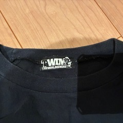 レア　TWIM ロンT ロングTシャツ 長袖 THE WORLD IS MINEの画像