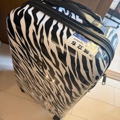 機内持込可能スーツケースの画像