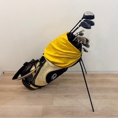 初心者向け　PARADISO パラディーゾ ゴルフ キャディバッグ イエローの画像