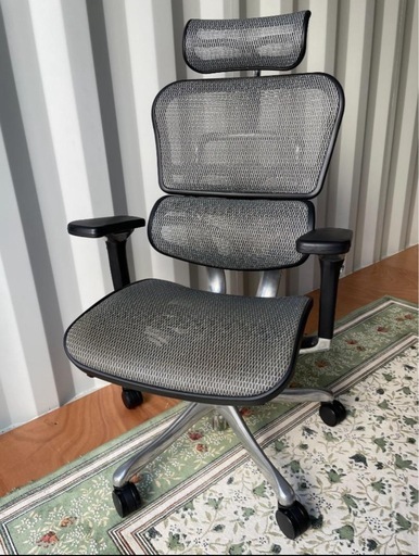 Ergohuman Pro エルゴヒューマンプロ