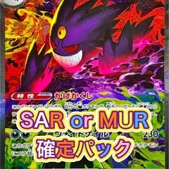 ポケモンカード確定パックの画像