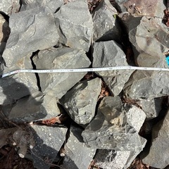 石あげます 庭石やロックガーデン等にどうぞの画像