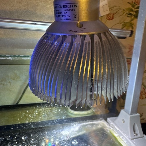 GrassyLeDio RS122 FW LEDライト 21W