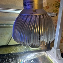 GrassyLeDio RS122 FW LEDライト 21Wの画像