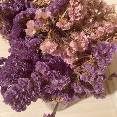 スターチス　ドライフラワー　インテリア　ナチュラルの画像