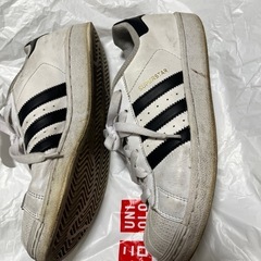アディダス　スーパースター24センチの画像