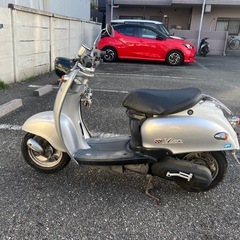 ビーノ❣️他在庫多数飛込見学大歓迎の画像