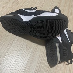 AIR MAX 
MENSスニーカー（NIKE ）の画像