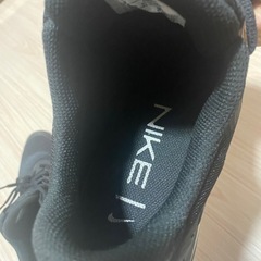AIR MAX 
MENSスニーカー（NIKE ）の画像