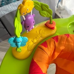 フィッシャープライス レインフォレスト ジャンパルーの画像