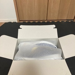 ミドリ安全　安全靴の画像