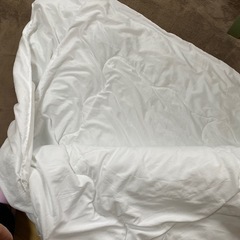 ニトリ　掛け布団シングルの画像