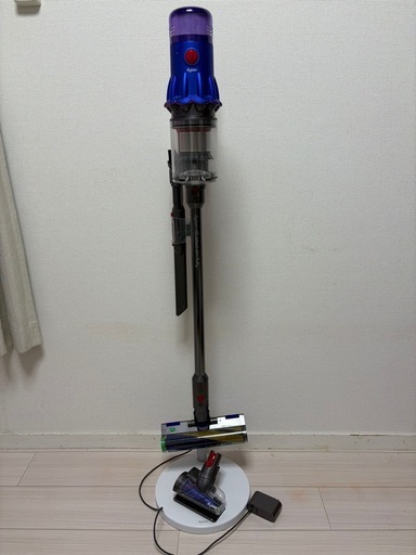 Dyson V12 Detect Slim Fluffy
