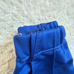 ひたちなか市立前渡小学校ジャージパンツ
の画像