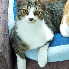 11ヶ月の男の子