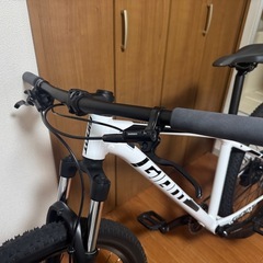 ジャイアント　ATX     カスタム車両　マウンテンバイクの画像