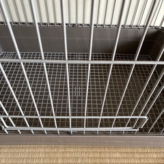 うさぎさんのおうち
の画像