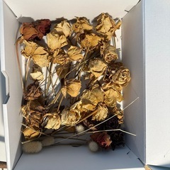 ドライフラワーセットの画像