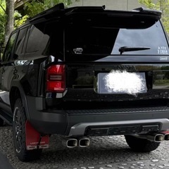 ランクル250 ガナドールマフラー GDS-174M モデリスタ用の画像