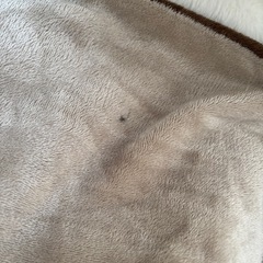 こたつ こたつ布団付き　105㎝幅 の画像