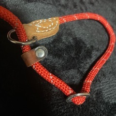 スリップリード　リード一体型首輪　　　しつけ首輪　引っ張り防止　の画像