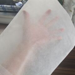 果樹・トウモロコシの防虫袋（不織布）　10袋　未使用の画像