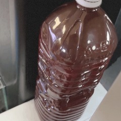 タイリクミジンコとPSB2リットル　2リットルペットボトル1本に数百匹　金魚　メダカの餌　稚魚の餌　ベタの餌　ミジンコ　タマミジンコより　オオミジンコより　水槽の画像