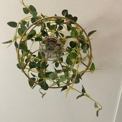 シーリングライトの画像