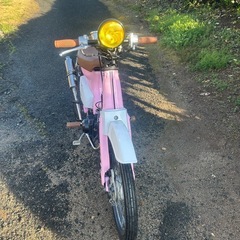 カブカスタムの画像