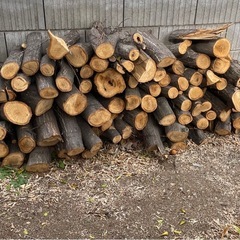 薪　(栗の木))の画像